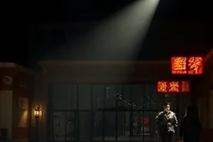 候鸟计划纪录片封面，湿地芦苇荡上方成群掠过的水鸟